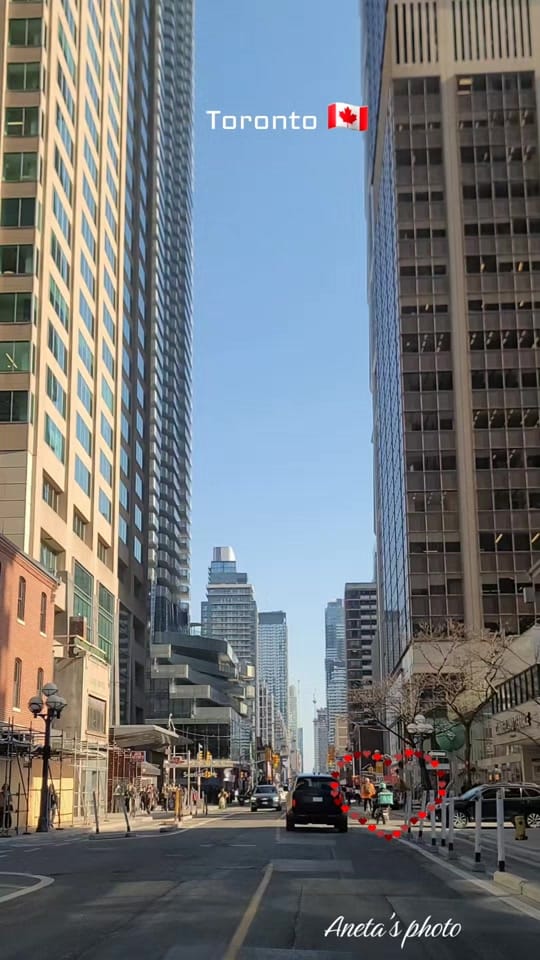 Post 1 by Aneta Wozniak on TikTok (video)