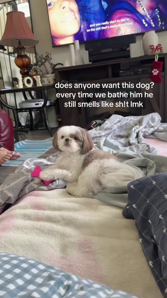 Post 1 by lex on TikTok (video)