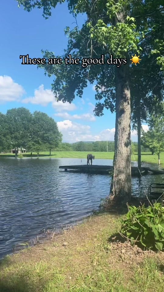 Post 6 by laurenclaire1990 on TikTok (video)