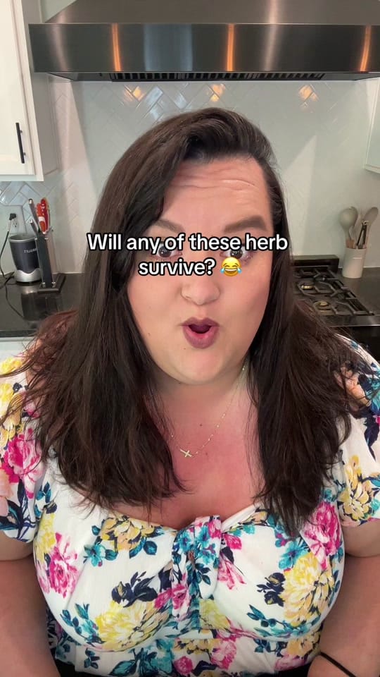 Post 7 by laurenclaire1990 on TikTok (video)