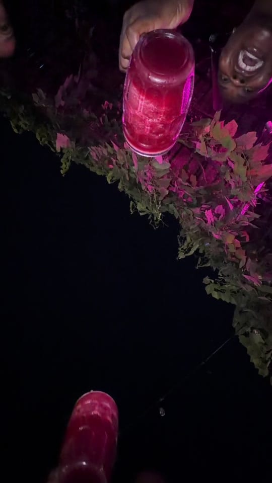 Post 4 by Stella Shanelly on TikTok (video)