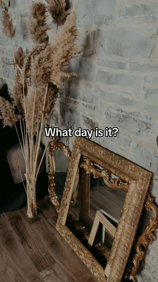 Post 7 by JackieHallPhotography on TikTok (video)
