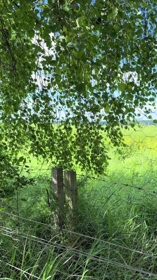 Post 4 by Walks in Scotland on TikTok (video)