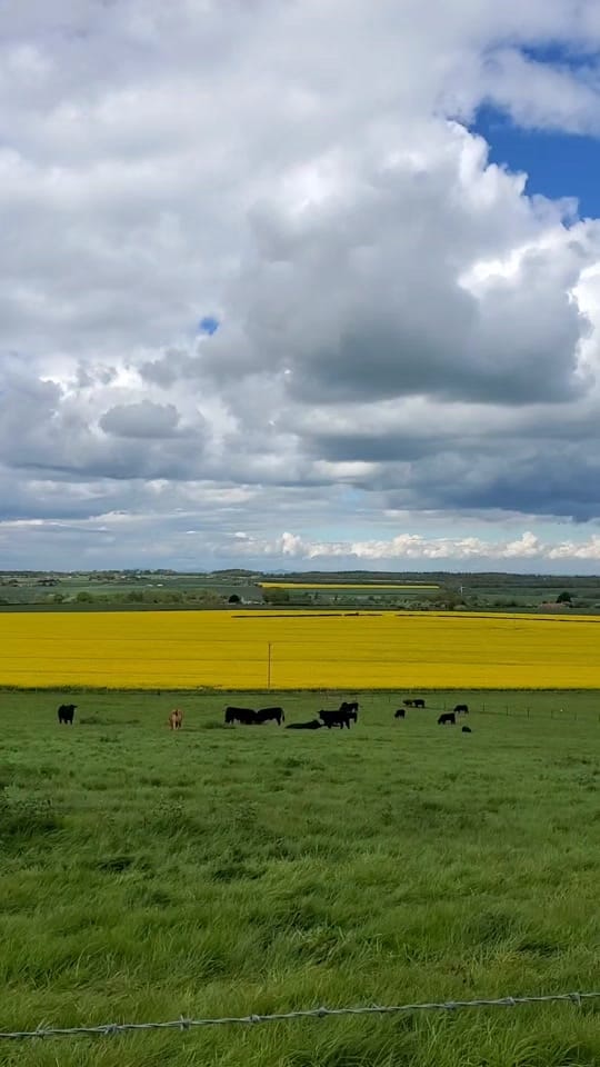 Post 8 by Walks in Scotland on TikTok (video)