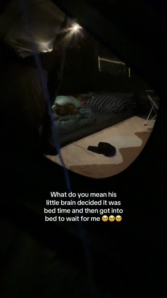 Post 5 by Selvynna & Teddy 🐯 on TikTok (video)