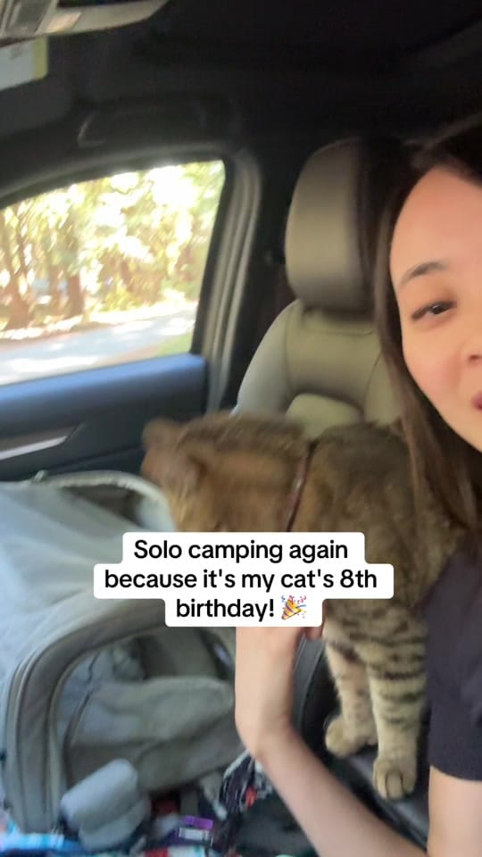 Post 10 by Selvynna & Teddy 🐯 on TikTok (video)