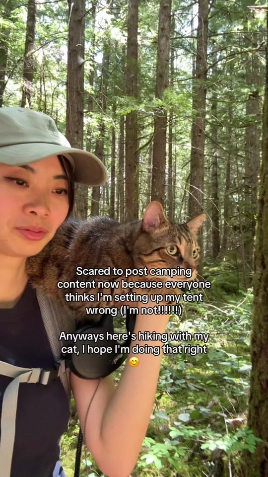 Post 9 by Selvynna & Teddy 🐯 on TikTok (video)