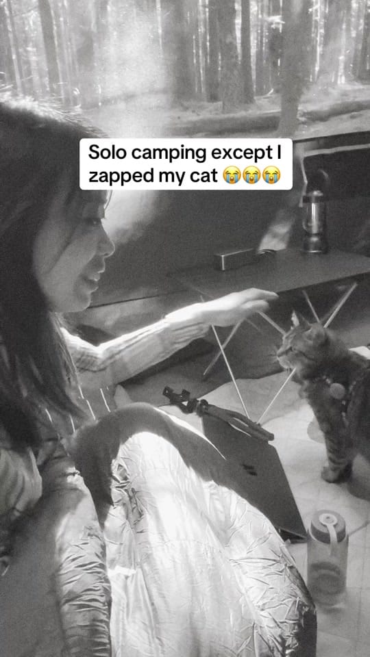 Post 3 by Selvynna & Teddy 🐯 on TikTok (video)