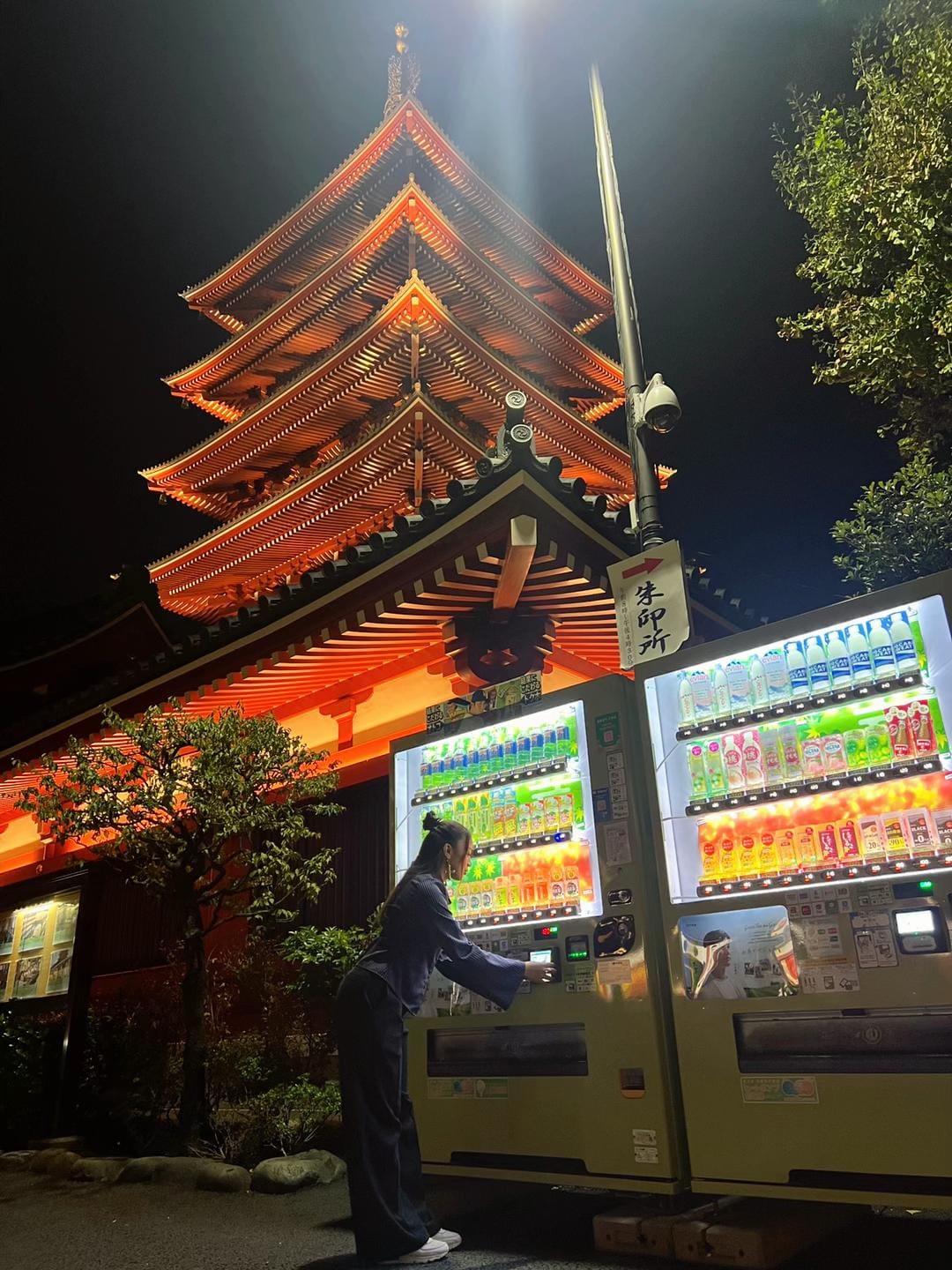 Post 7 by Castro 🪭 on TikTok (video)
