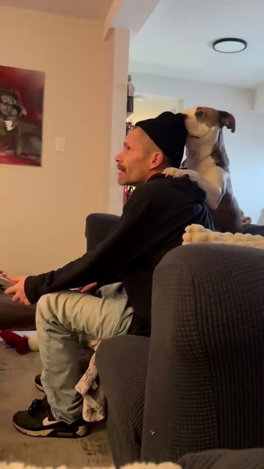 Post 9 by Simpson on TikTok (video)
