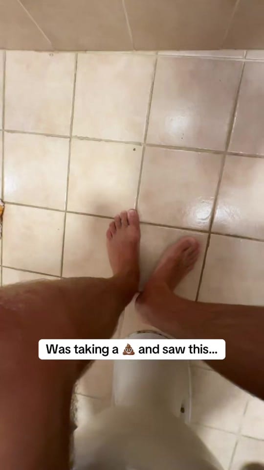 Post 1 by Parker Pannell on TikTok (video)