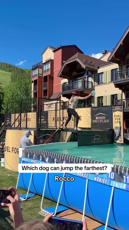 Post 4 by Parker Pannell on TikTok (video)