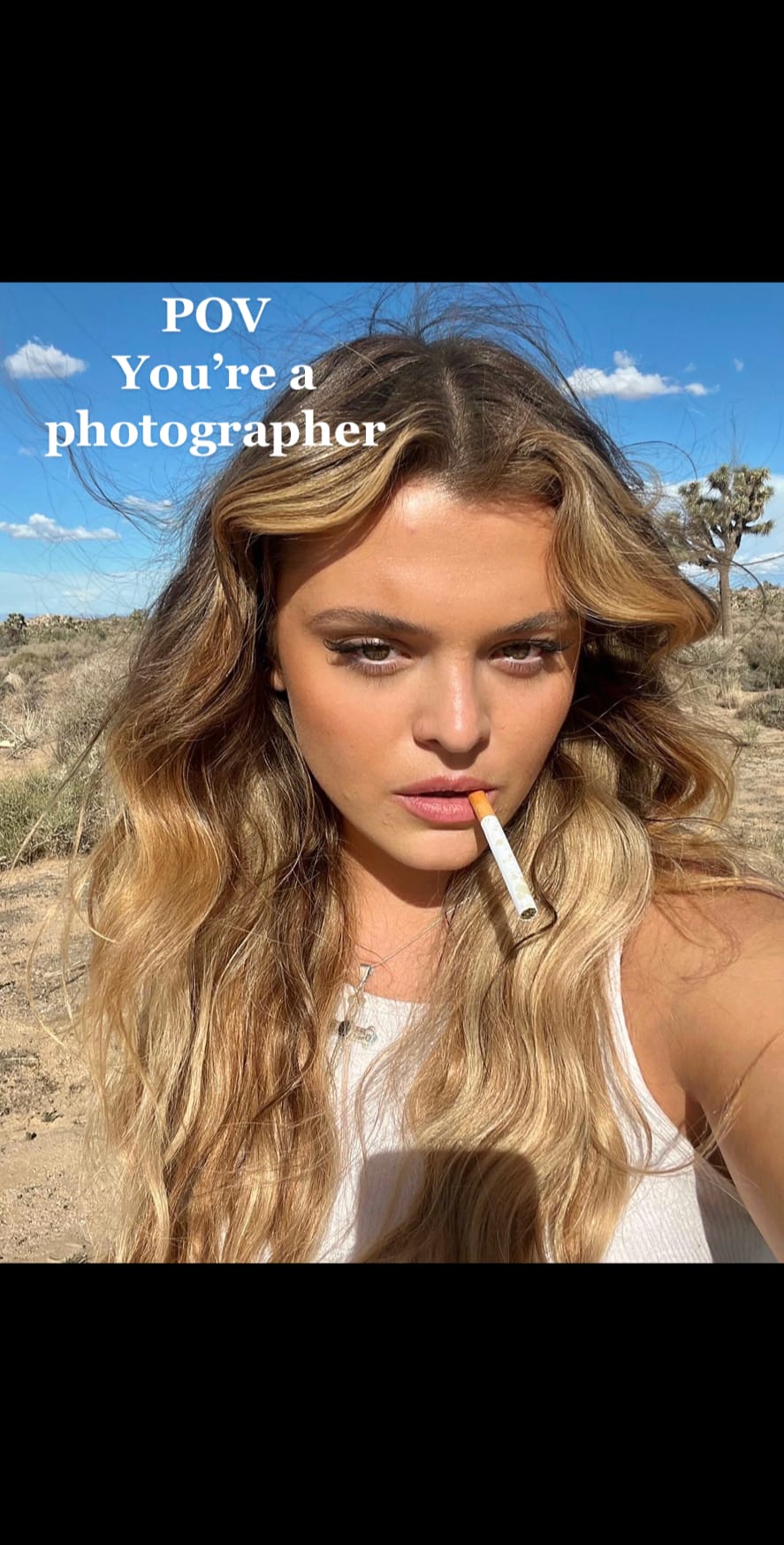 Post 9 by Sophia Carrasco on TikTok (video)