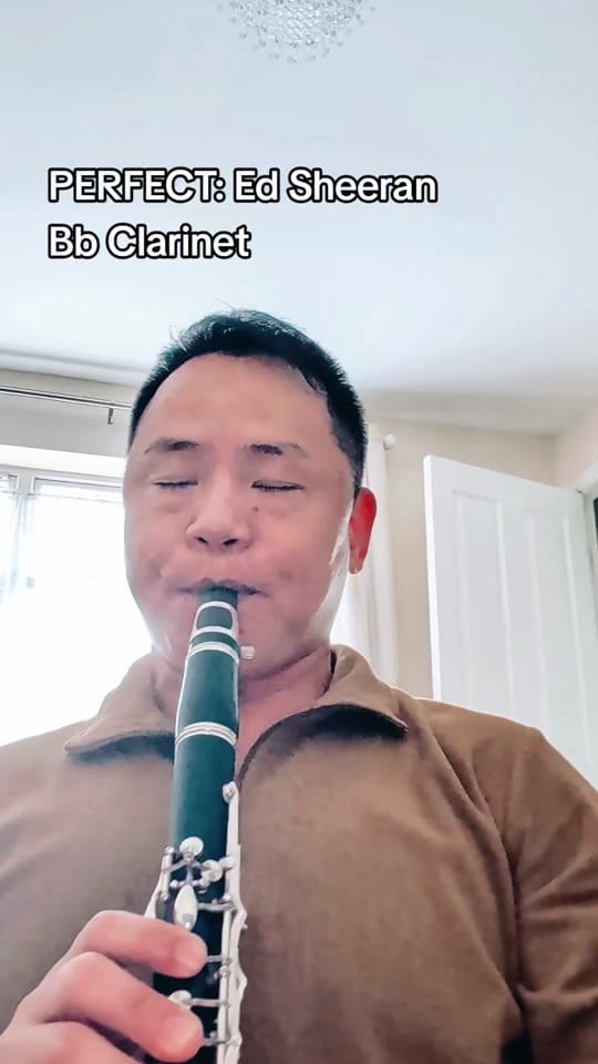 Post 6 by Ramesh (Music & Memory) on TikTok (video)