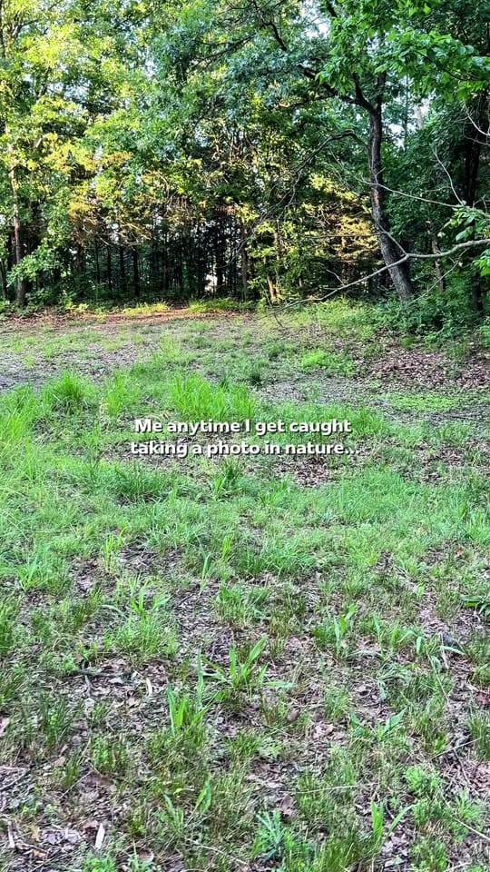 Post 2 by thatoutdoorsygal on TikTok (video)