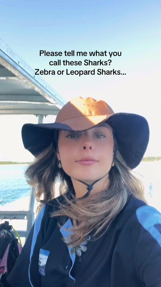 Post 7 by Megan on TikTok (video)