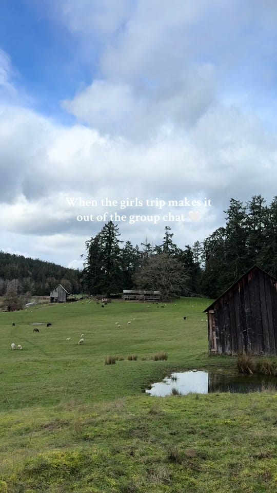 Post 7 by brookesirah on TikTok (video)