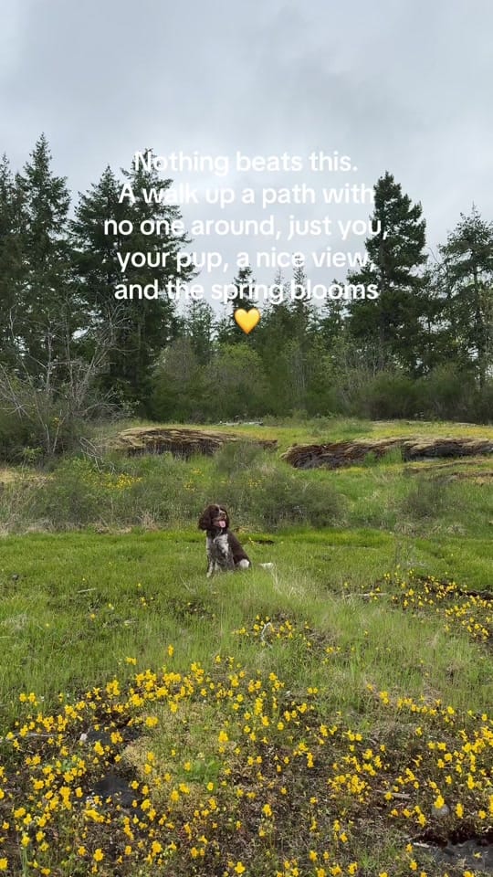 Post 4 by brookesirah on TikTok (video)