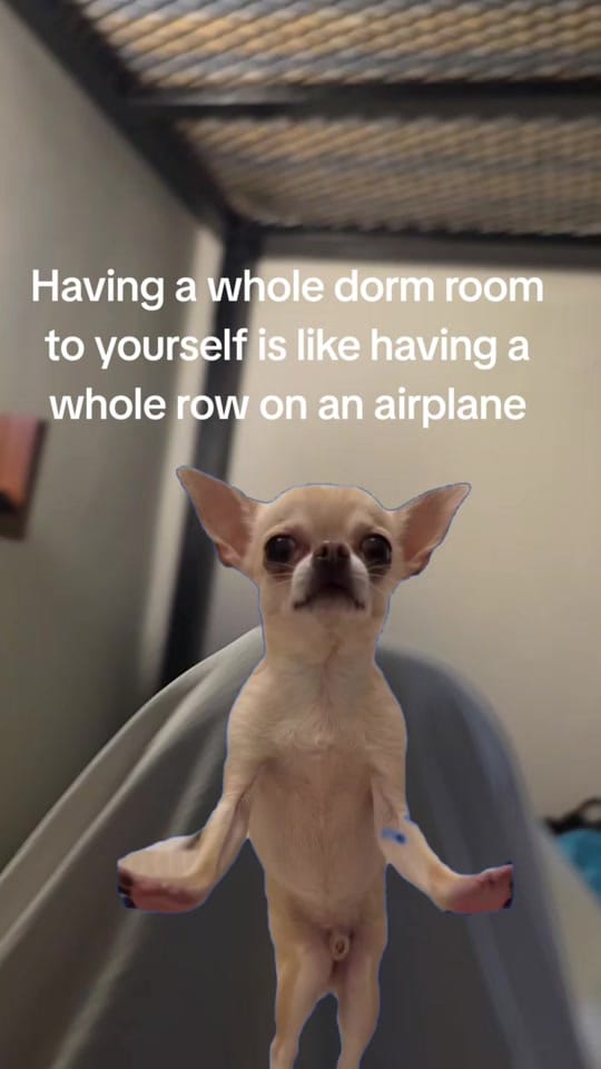Post 7 by tsmithfraser on TikTok (video)