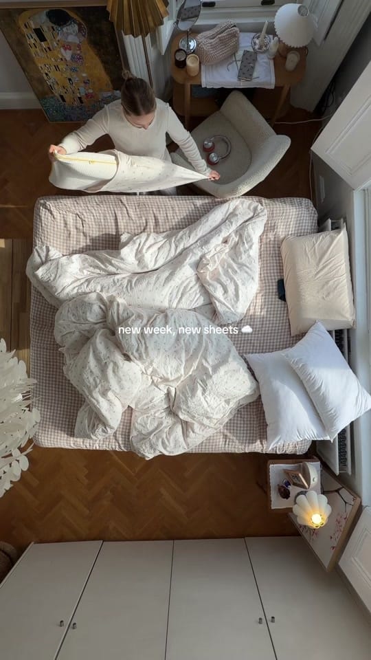 Post 3 by Sasha on TikTok (video)