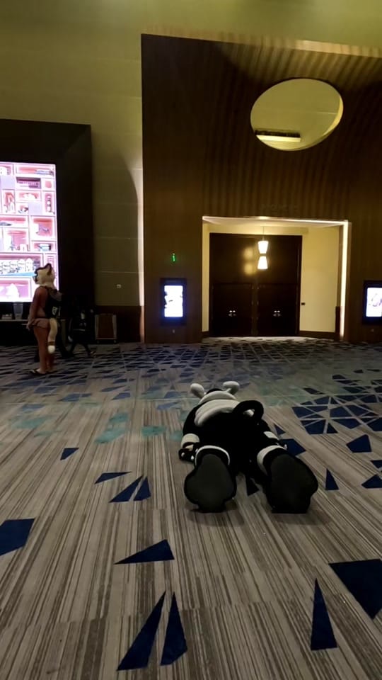 Post 9 by Ashvejlou on TikTok (video)