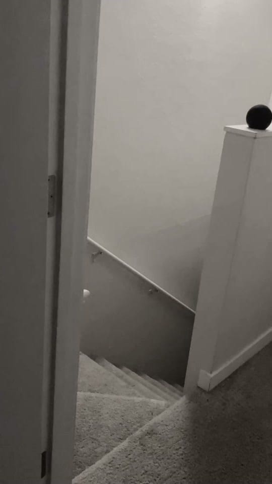 Post 5 by Ashvejlou on TikTok (video)