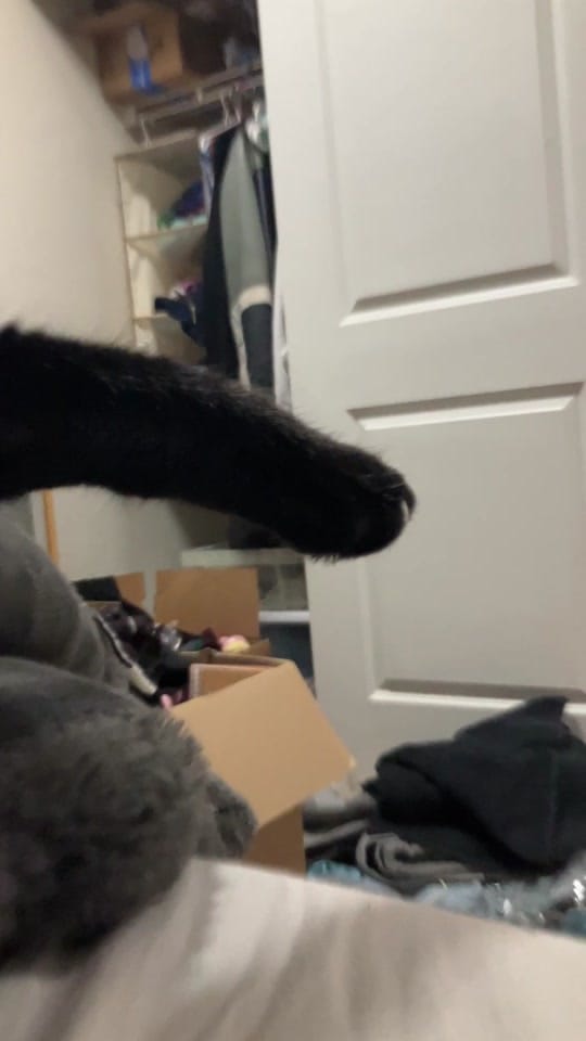 Post 4 by Ashvejlou on TikTok (video)
