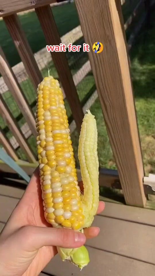 Post 9 by dirtyfloortaco on TikTok (video)