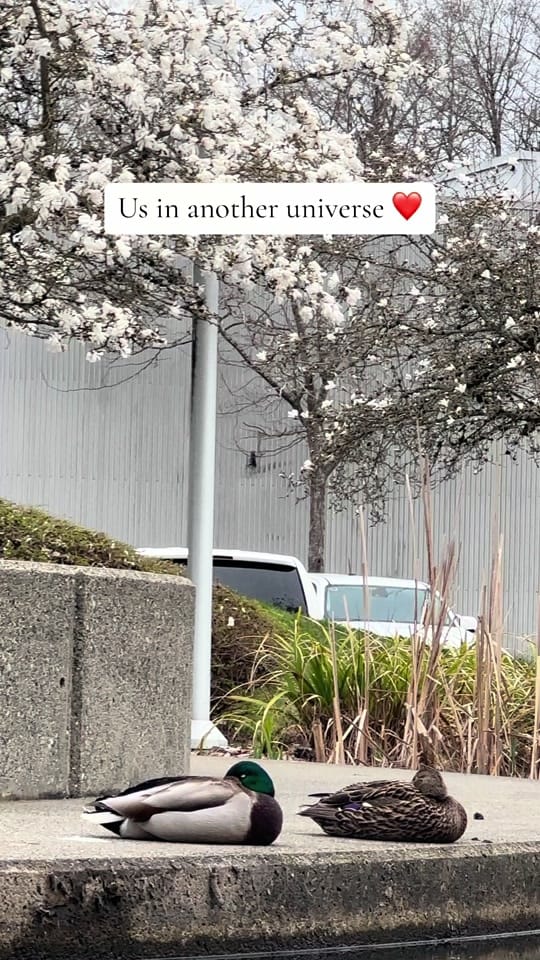 Post 7 by Polina Spirit on TikTok (video)