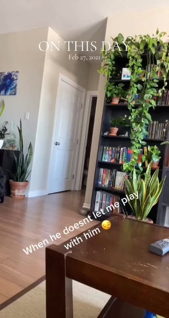 Post 6 by Curt on TikTok (video)