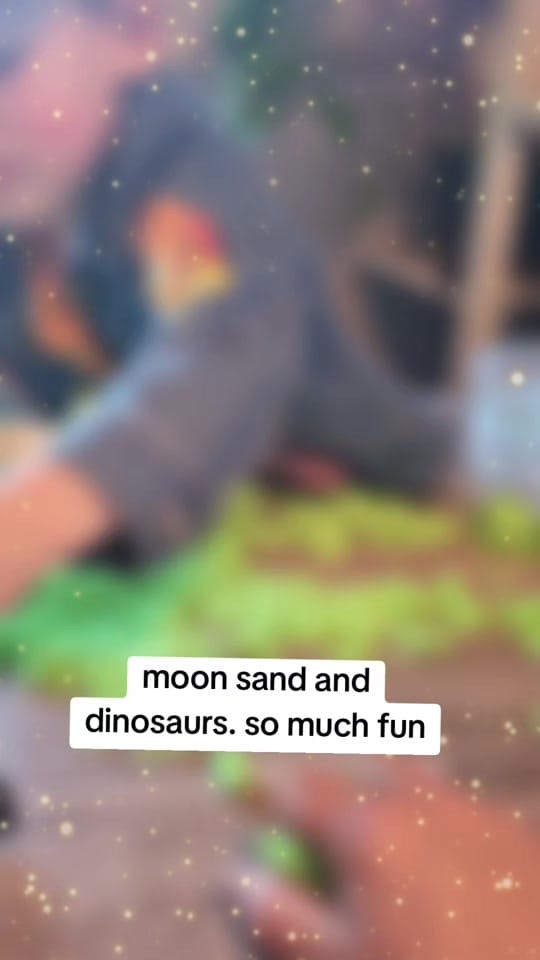 Post 6 by Pauline 🇨🇦 on TikTok (video)