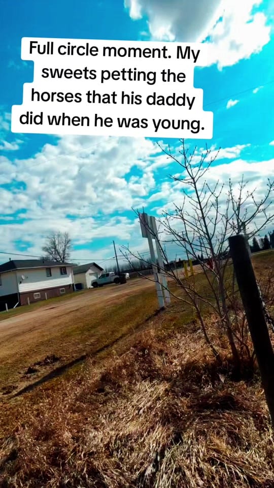 Post 7 by Pauline 🇨🇦 on TikTok (video)