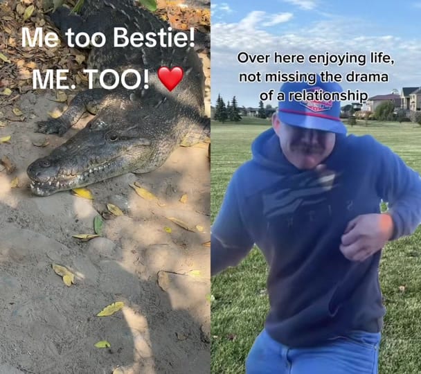 Post 6 by ❌🇨🇦 Tanys 🇨🇦❌ on TikTok (video)