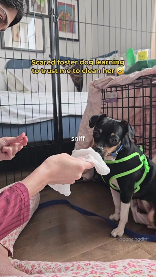 Post 5 by Shweta 🌷 on TikTok (video)