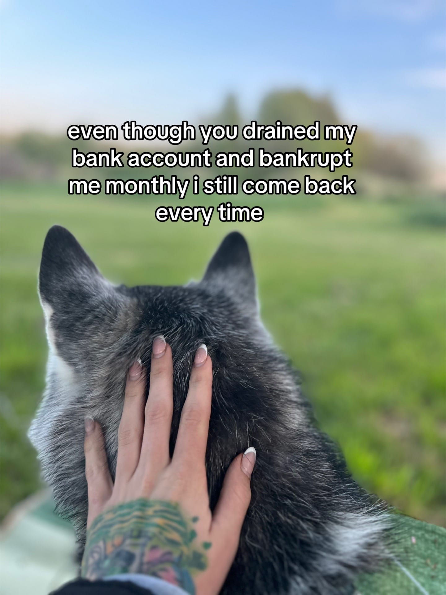 Post 3 by viadragido on TikTok (video)