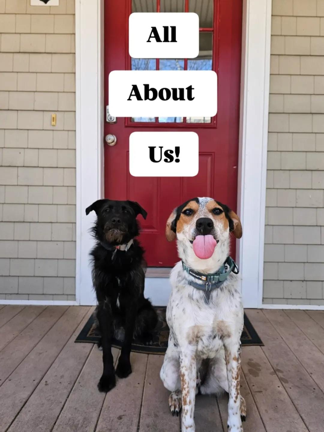 Post 10 by Charlotte, Reggie & Fran on TikTok (video)
