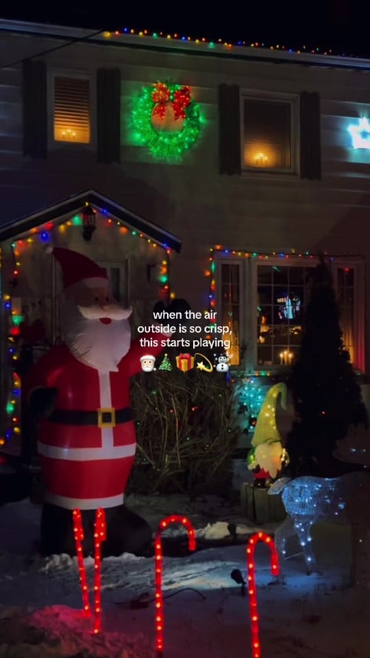 Post 9 by Stanislav Senchuk on TikTok (video)