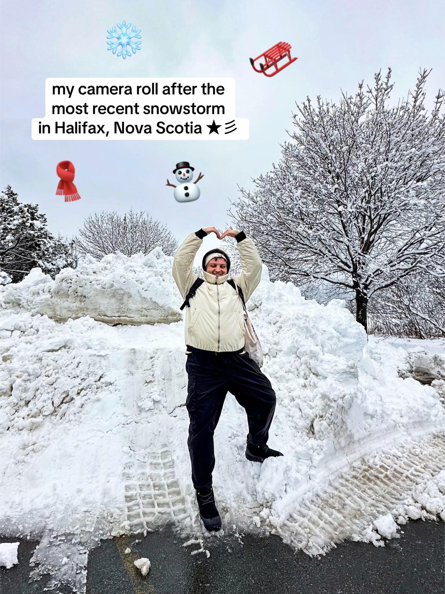 Post 3 by Stanislav Senchuk on TikTok (video)