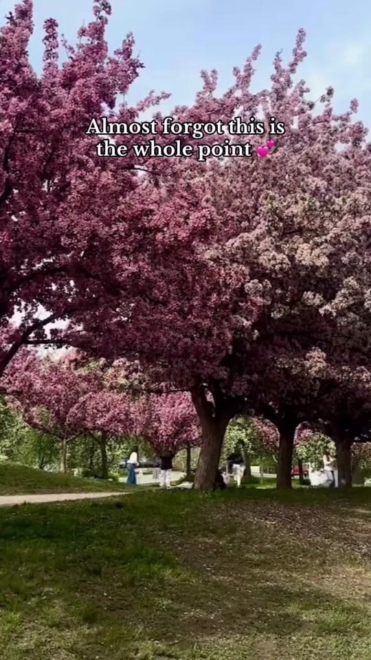 Post 1 by Airdrie & Calgary Photographer on TikTok (video)