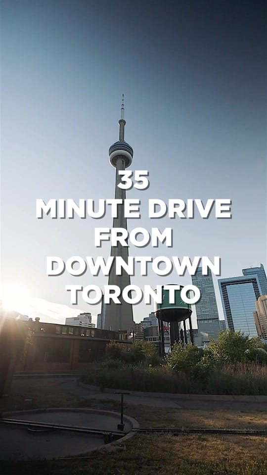 Post 7 by Andrew Fitzy on TikTok (video)