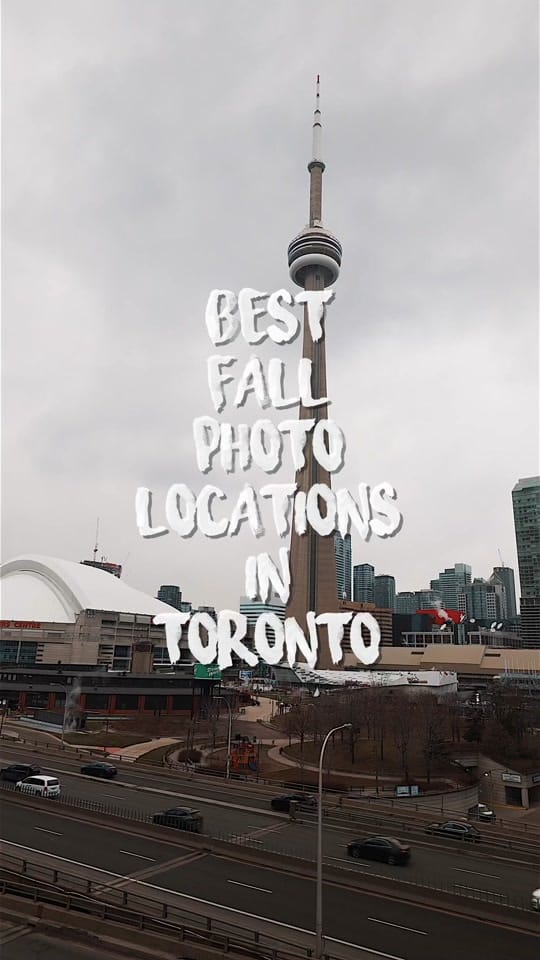 Post 5 by Andrew Fitzy on TikTok (video)