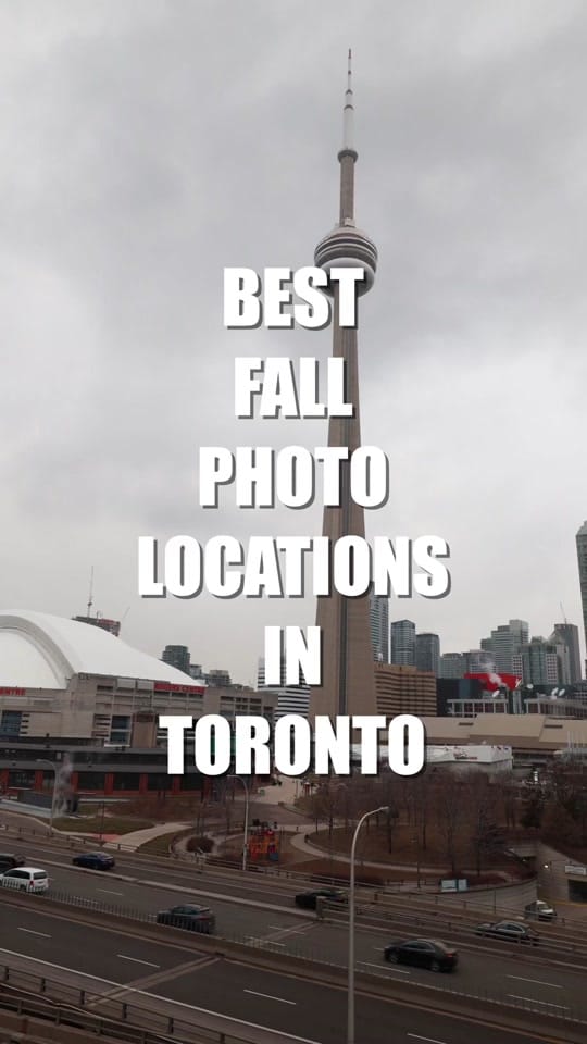 Post 4 by Andrew Fitzy on TikTok (video)