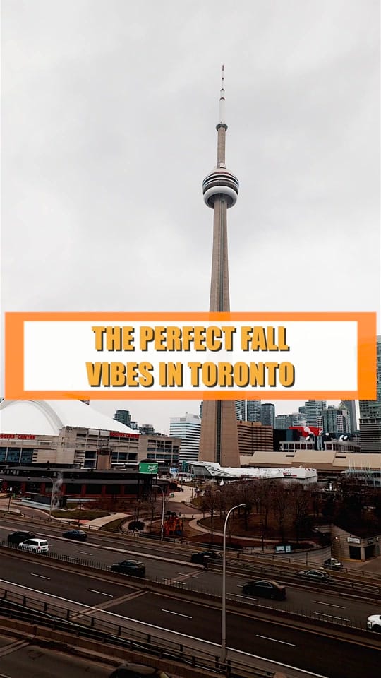 Post 8 by Andrew Fitzy on TikTok (video)