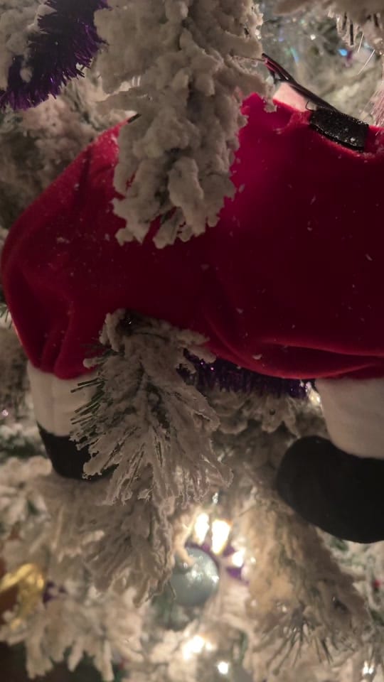 Post 2 by Julie on TikTok (video)