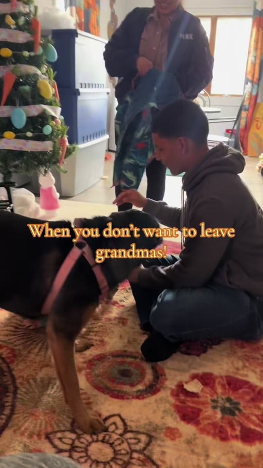 Post 3 by Aleena Marnee on TikTok (video)