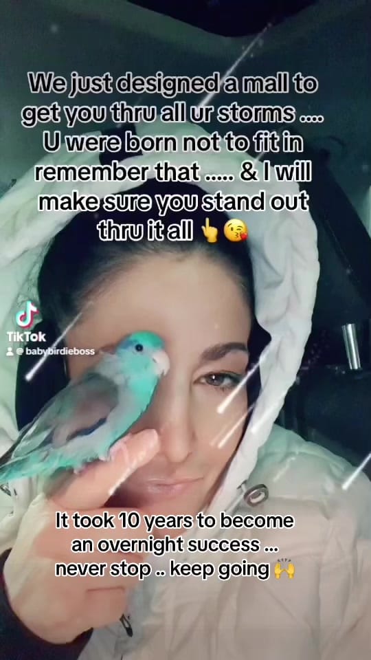 Post 8 by Baby Birdie Boss on TikTok (video)