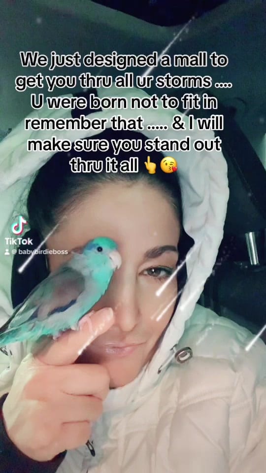 Post 9 by Baby Birdie Boss on TikTok (video)
