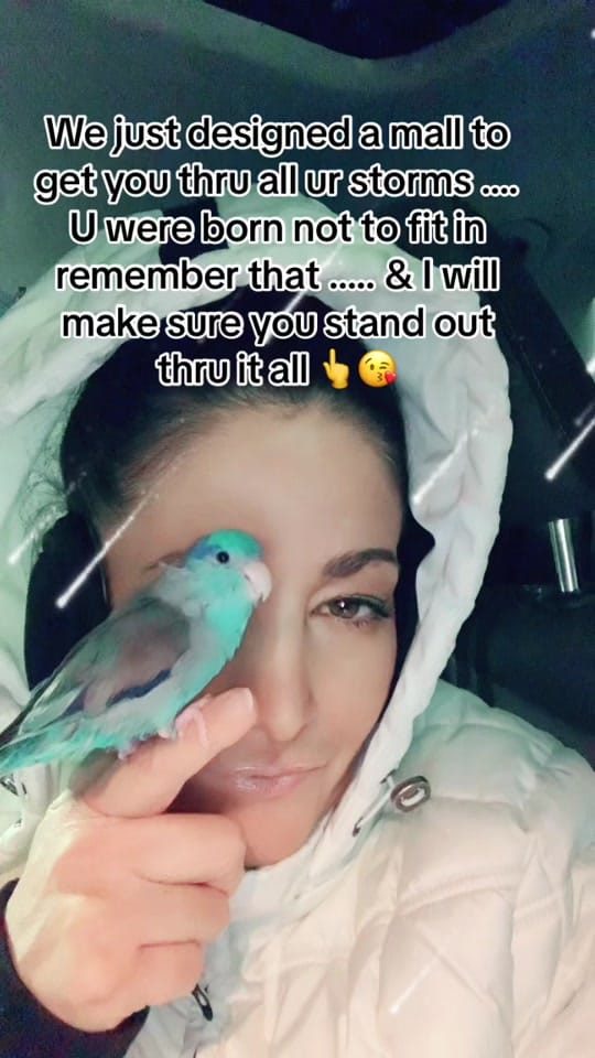 Post 10 by Baby Birdie Boss on TikTok (video)
