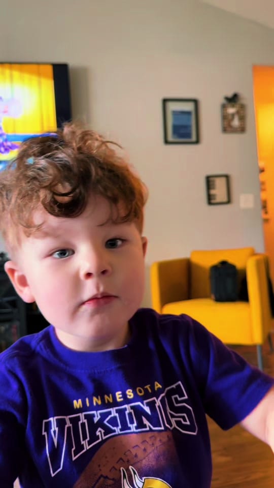 Post 3 by LHan on TikTok (video)
