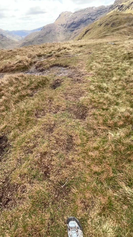 Post 4 by katiemcghee1 on TikTok (video)